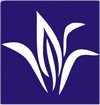 SmartOne